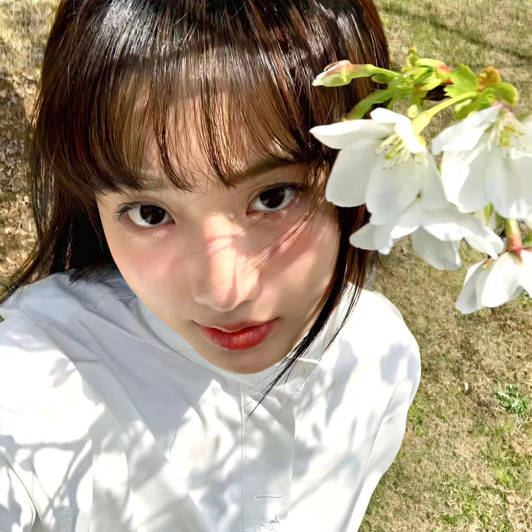 布莱德·彼特之即刻毁灭